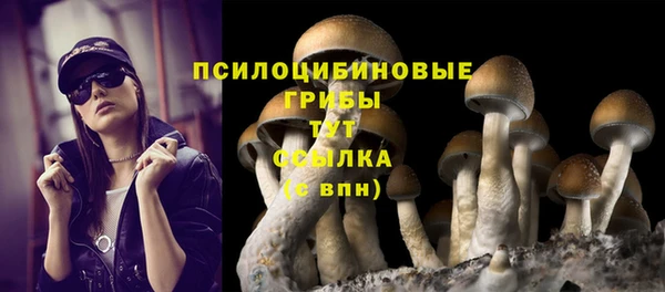 прущие грибы Лиски