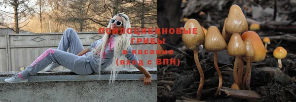 трава Ладушкин