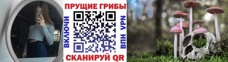 сколько стоит  Братск  Галлюциногенные грибы мицелий 