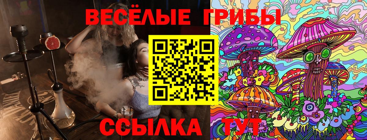 Галлюциногенные грибы MAGIC MUSHROOMS Братск