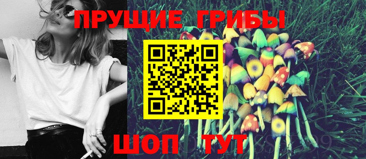 Братск  Псилоцибиновые грибы Magic Shrooms  Вход с VPN 