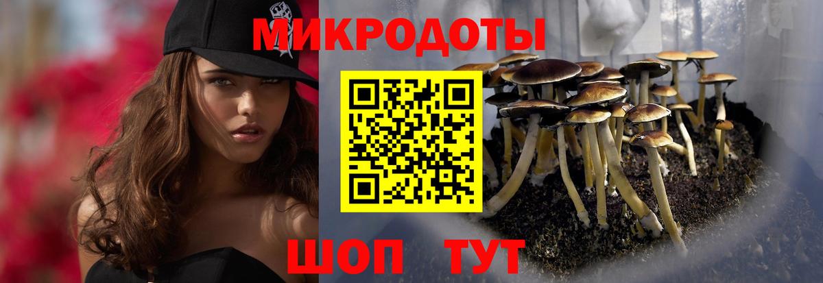 сколько стоит  Галлюциногенные грибы Magic Shrooms  Братск  Галлюциногенные грибы мицелий 